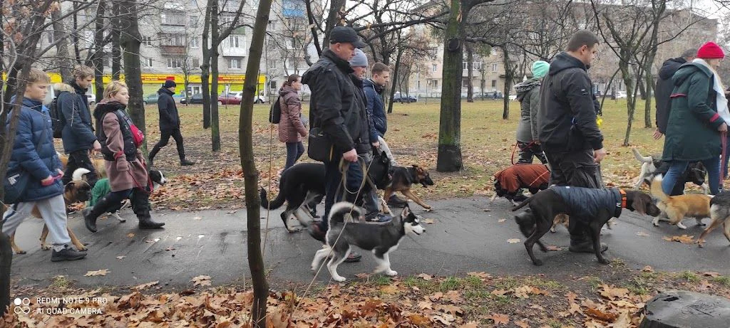 Дресирувальний Центр "ЛЕГІОН" — фото 3