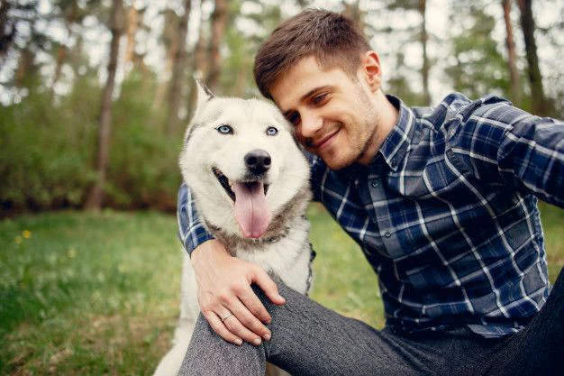 ВЕТЕРИНАРНА ЛІКАРНЯ ВЕТЕРИНАРНА ДОПОМОГА — фото 4
