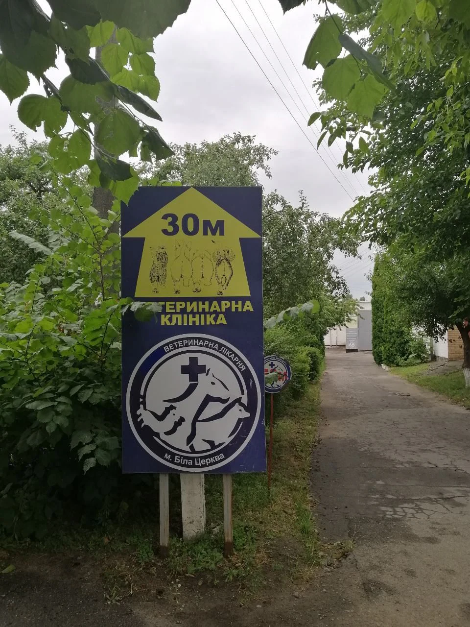 ВЕТЕРИНАРНА ЛІКАРНЯ ВЕТЕРИНАРНА ДОПОМОГА — фото 2