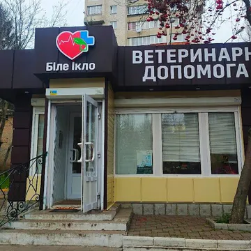 Фото бізнесу Ветеринарна амбулаторія "Біле Ікло"