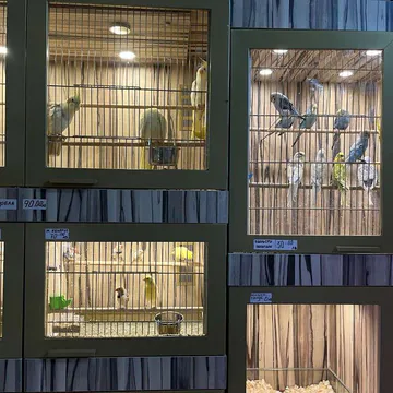 Фото бізнесу Зоомагазин "ZOO CENTER" Солунска