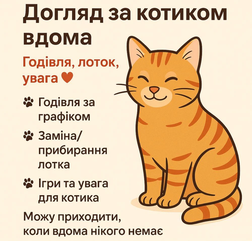 Догляд за котиком вдома. Годівля, лоток, увага. Котоняня
