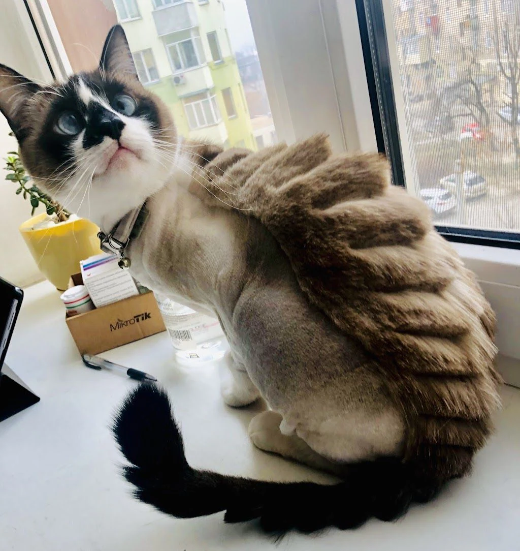 Ветеринарна клініка та грумінг-салон "Pussy Cat" — фото 4