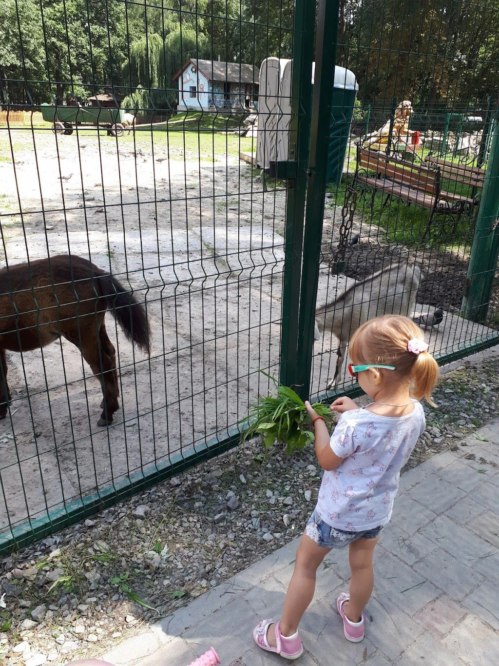 Тернопільський зоокуток — фото 3