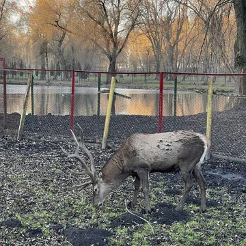 Фото бізнесу Тернопільський зоокуток