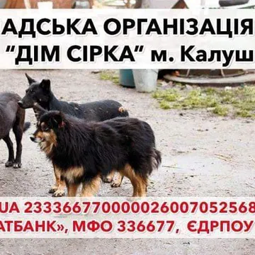 Фото бізнесу ГО "Дім Сірка" м. Калуш
