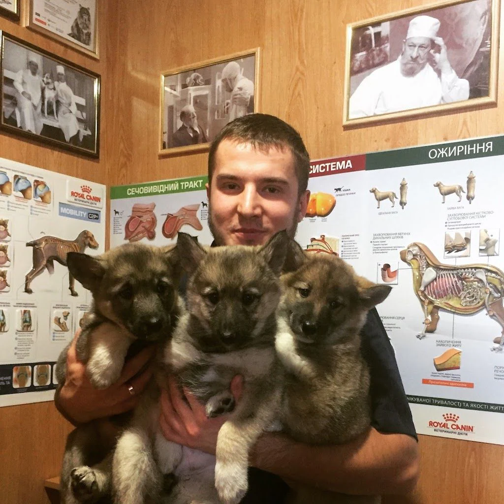 Ветклініка "ZOO Етика" — фото 3