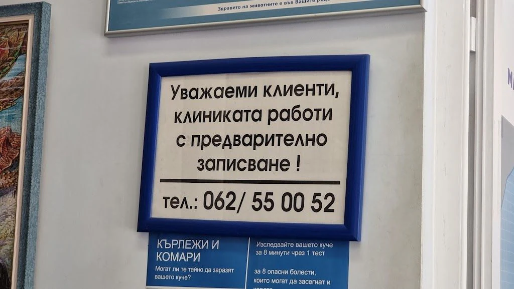 Ветеринарна клиника "Санивет" — фото 2