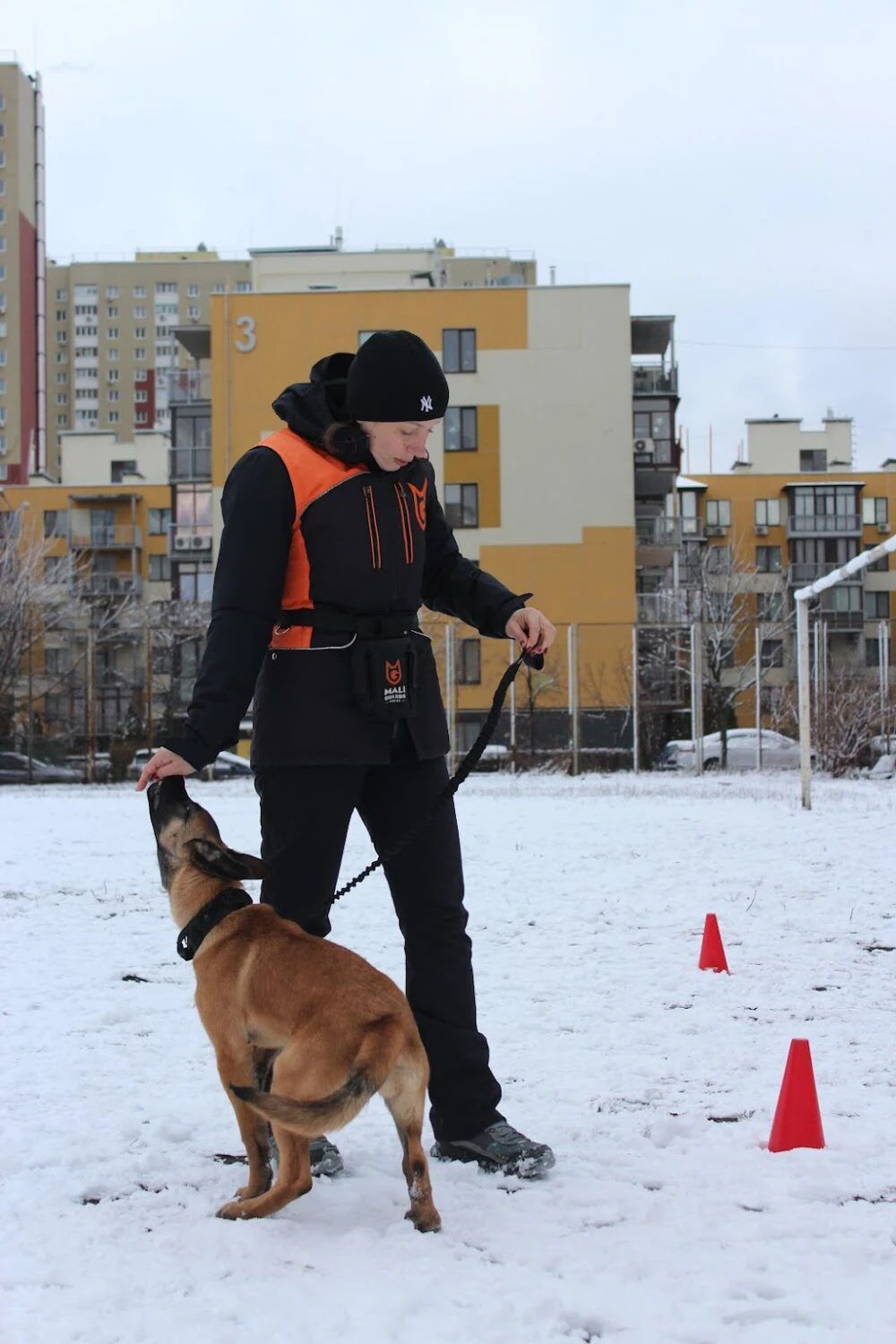 Дресирування собак "MaliGuards Club K9" — фото 3