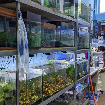 Фото бізнесу Магазин акваріумів "Світ екзотики"