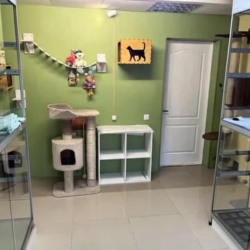 Фото бізнесу Готель для котів та кішок "Cats-Paradise"