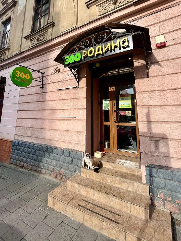 Зоомагазин "ZOOРодина" — фото 4