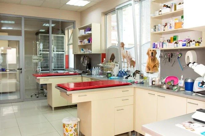 Ветеринарна клиника и зоомагазин "Силистра" — фото 11