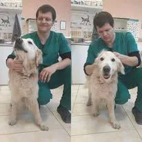 Фото бізнесу Ветеринарен Кабинет "Дружба"