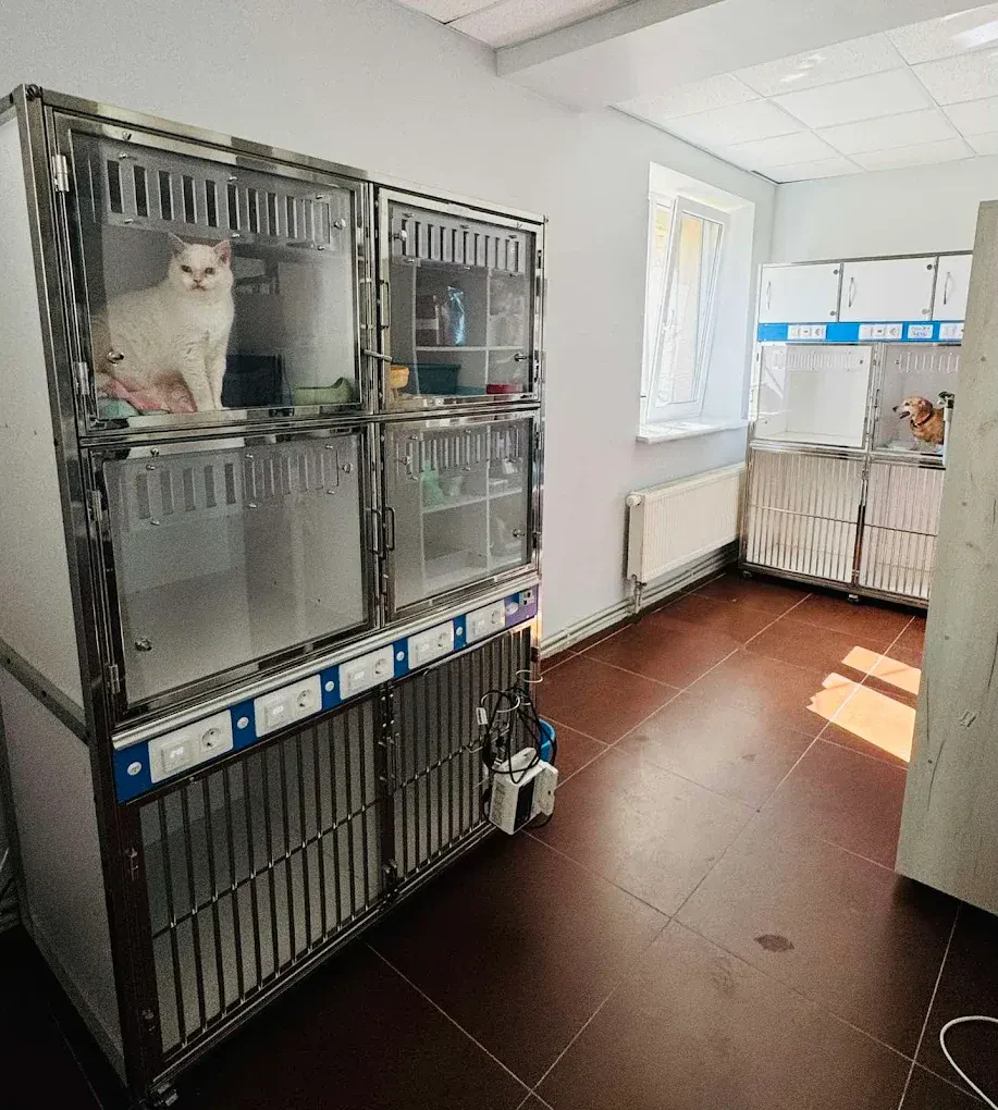 Ветеринарна клініка "Animal House" — фото 9