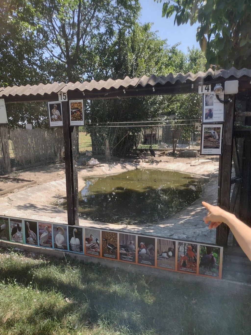 Спасителен център за диви животни "Зелени Балкани" — фото 2