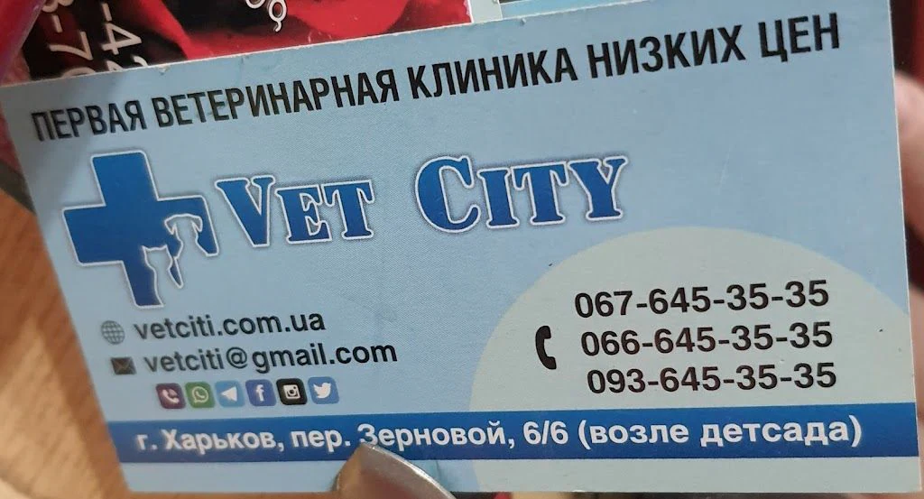 Ветеринарна клініка "Vet city" — фото 4
