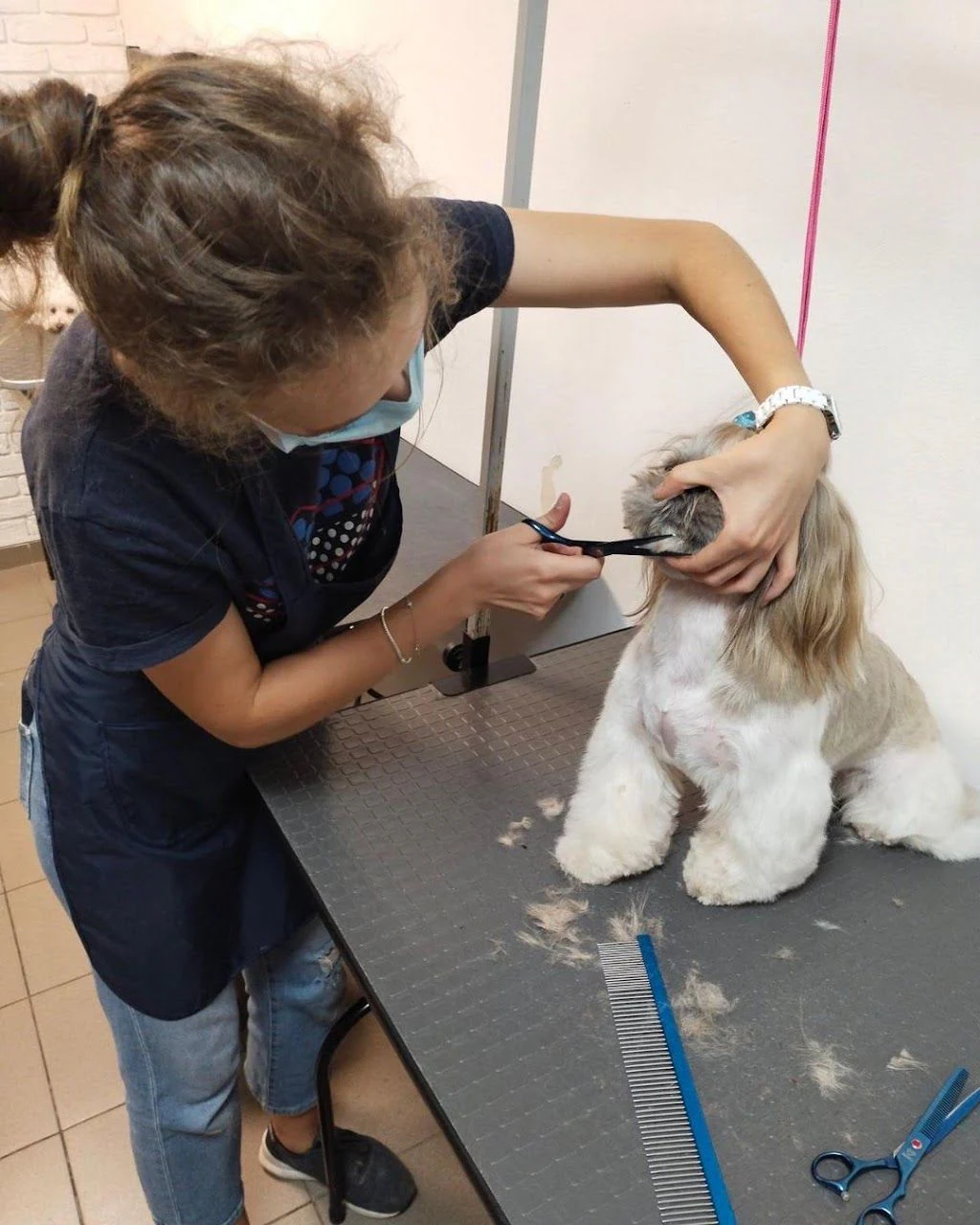 Грумінг-салон для собак та котів "DOG MODEL" у Кам'янець-Подільському — фото 5