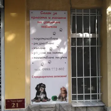 Фото бізнесу Салон за домашни любимци "Ася"
