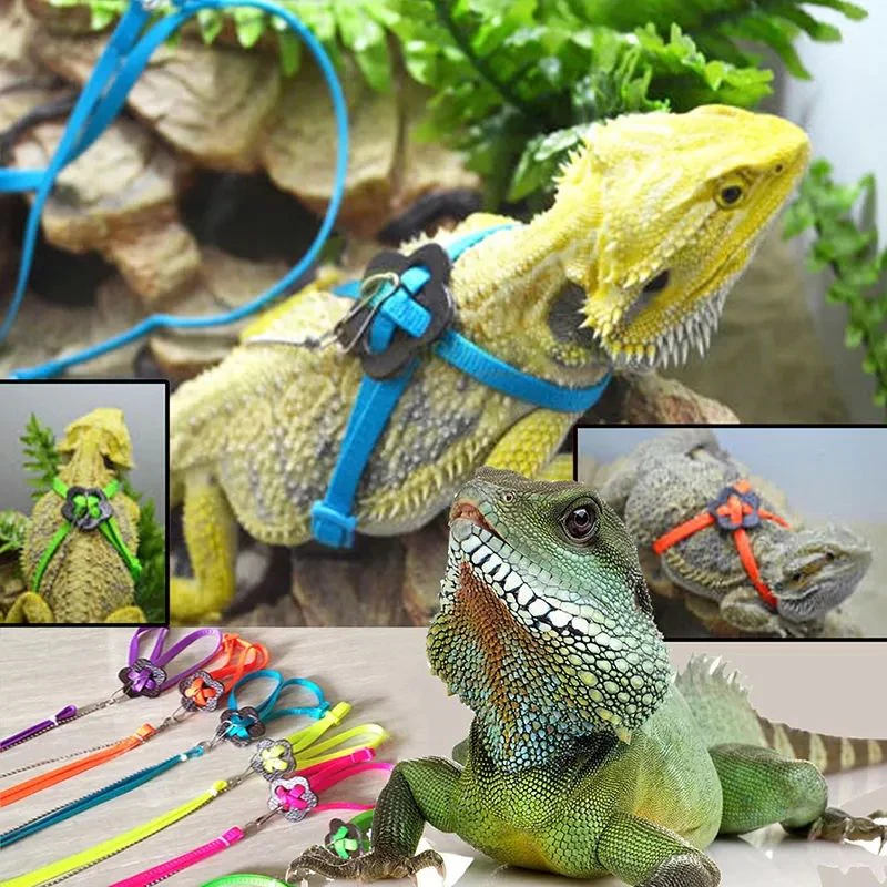 Зоомагазин "Exotic Animals" — фото 3