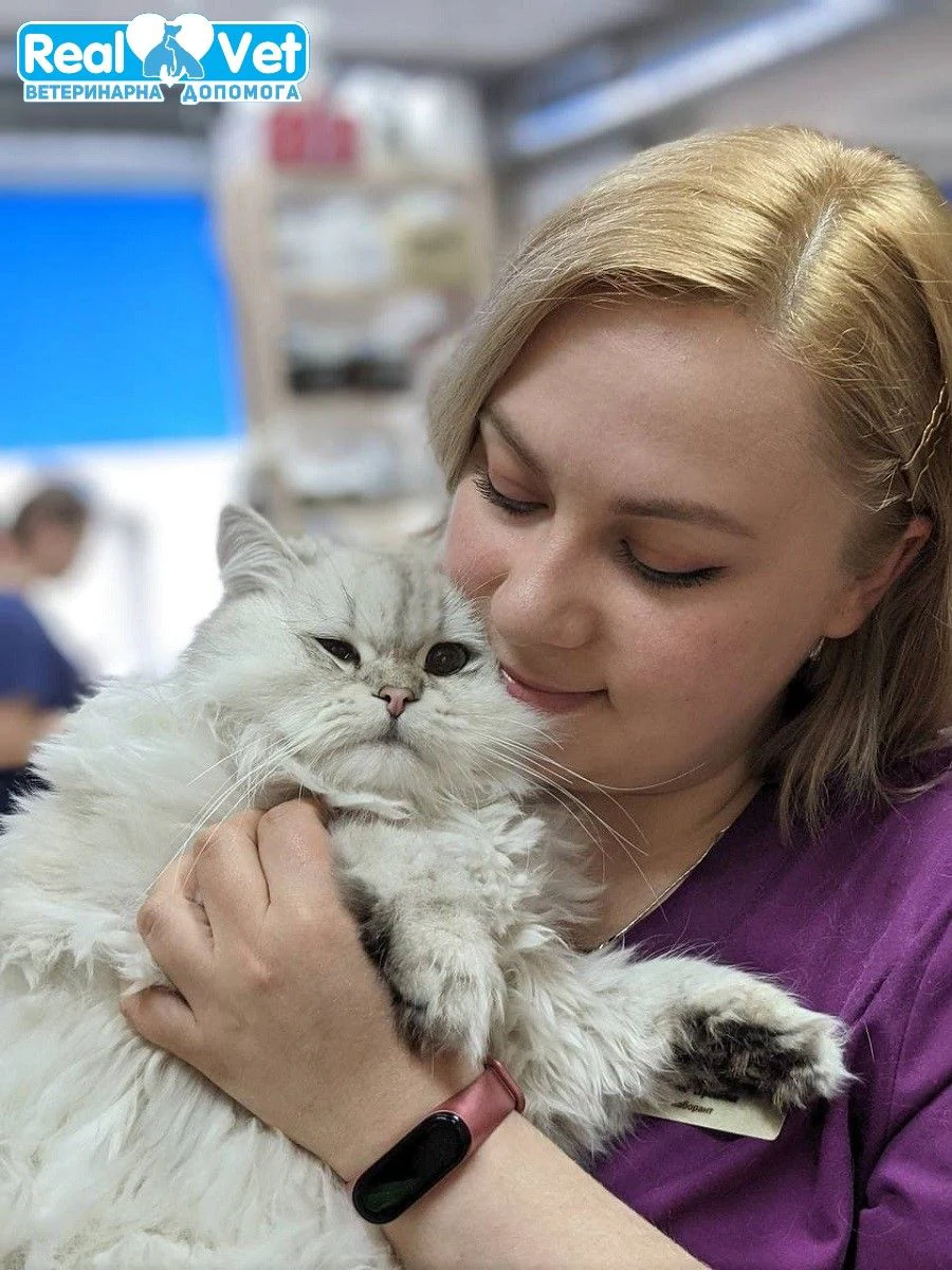 Ветеринарна клініка "Realvet" — фото 8
