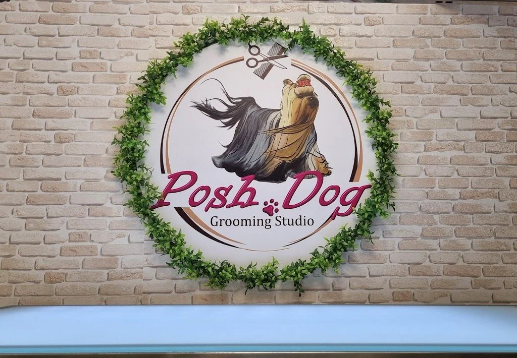 Груминг студио "Posh Dog" — фото 3