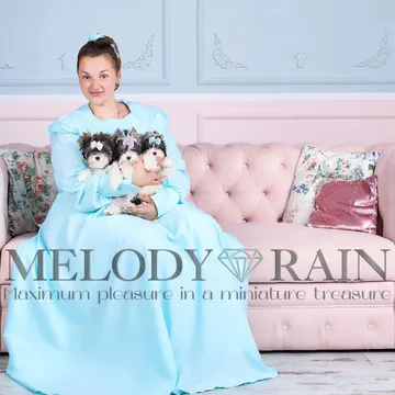 Фото бізнесу Розплідник Бівер Йоркширських Тер'єрів MelodyRain у Києві