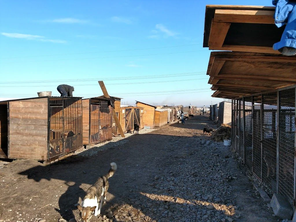 БО "Дім Сірка". Притулок — фото 3