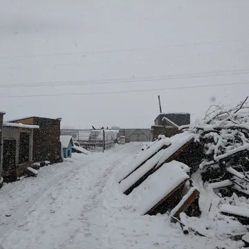 Фото бізнесу БО "Дім Сірка". Притулок