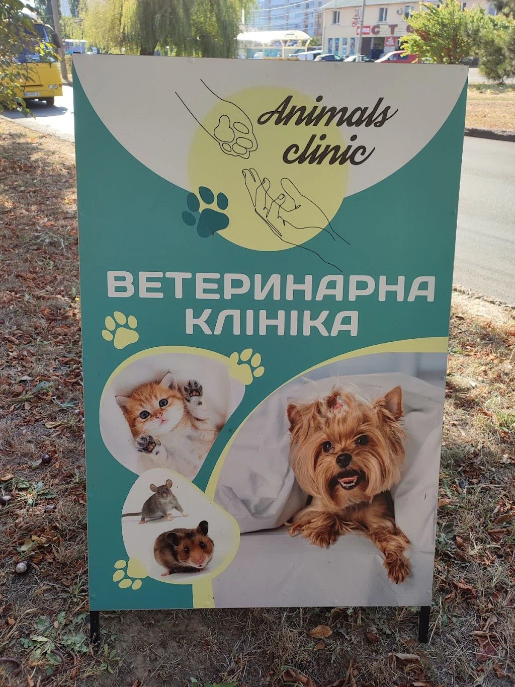 Ветеринарна клініка "Animals" — фото 4