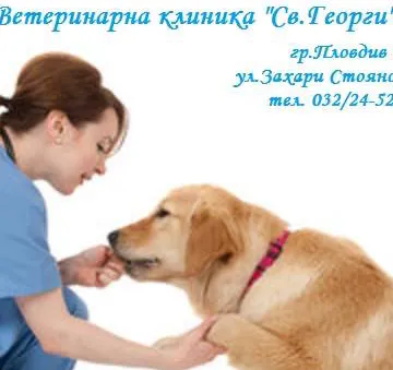 Фото бізнесу Ветеринарна клиника "Свети Георги"