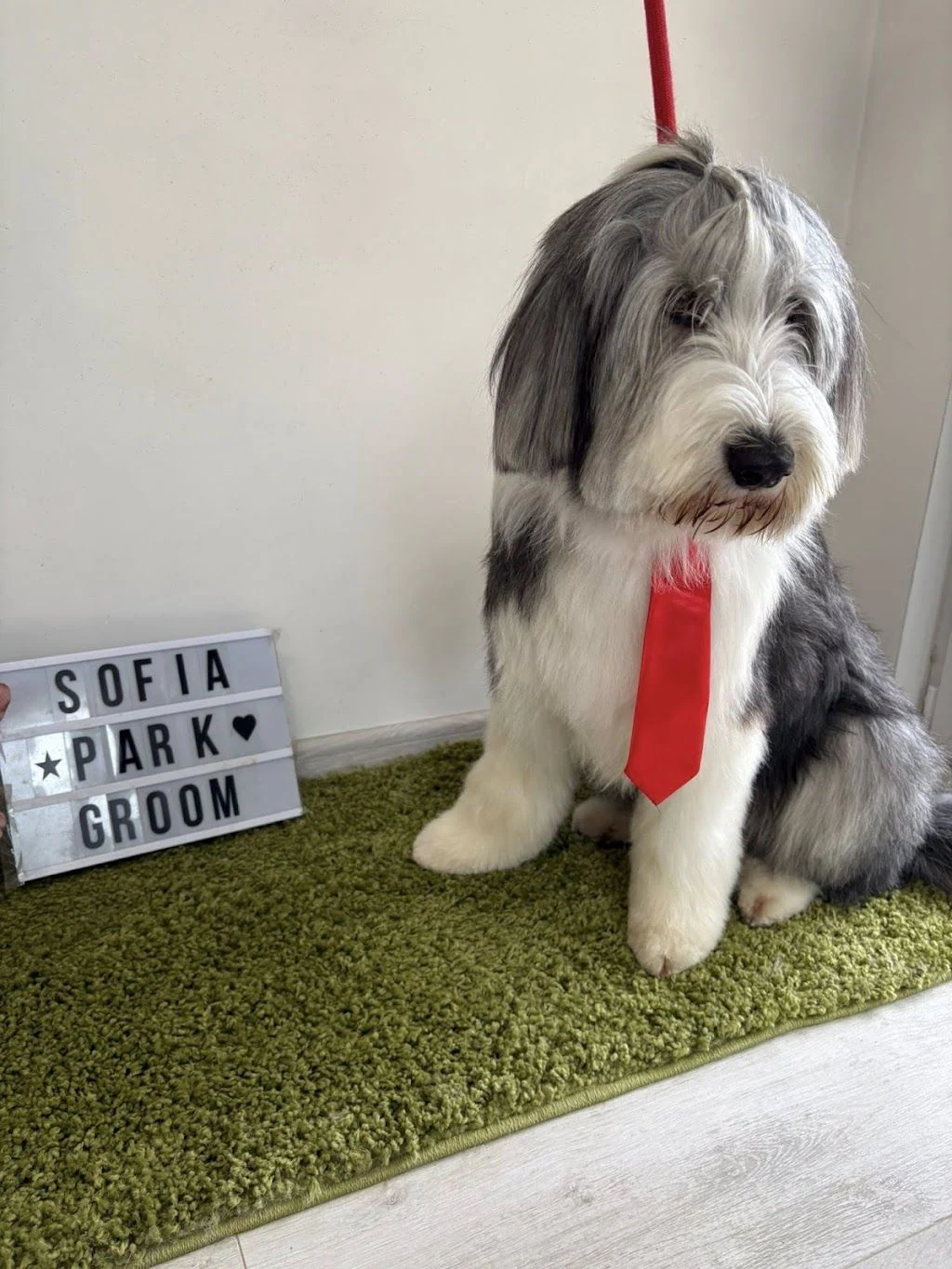 Груминг салон "Sofia Park Groom" — фото 3