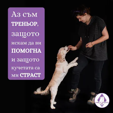 Фото бізнесу Обучение на кучета "Ние с Кучето"