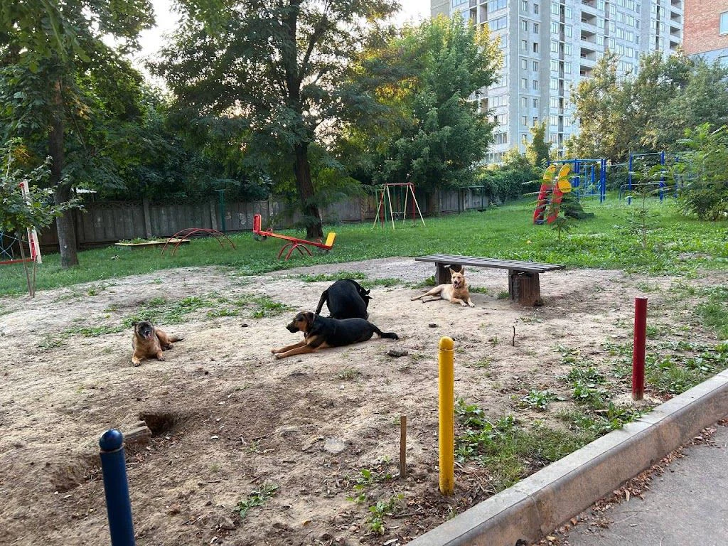 КП "Центр поводження з тваринами" — фото 4