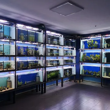 Фото бізнесу TERARISTIKA.BG | AQUARIST.BG