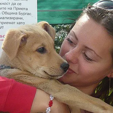 Фото бізнесу Общински приют за безстопанствени кучета - Бургас