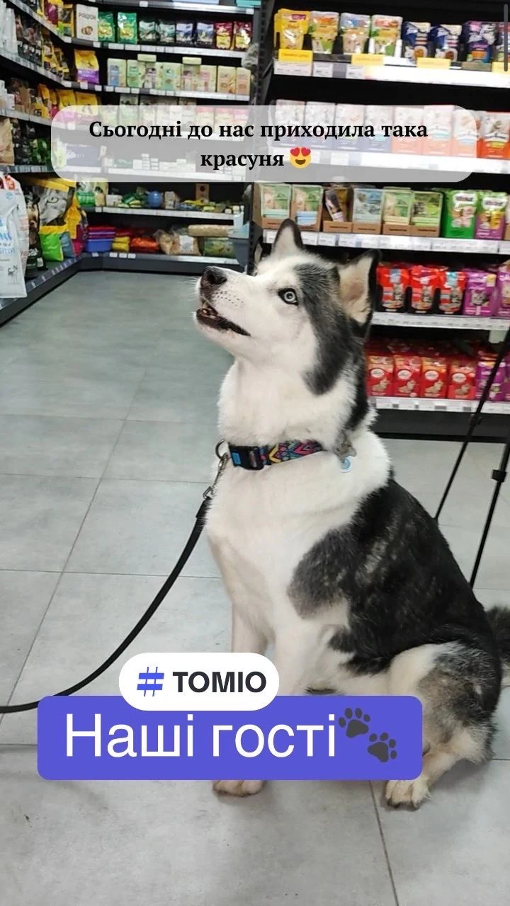 Зоомагазин "TOMIO" — фото 2