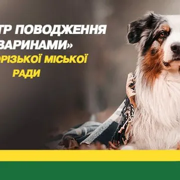 Фото бізнесу Комунальне підприємство "Центр поводження з тваринами"