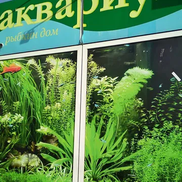 Фото бізнесу Зоомагазин "Акваріум"