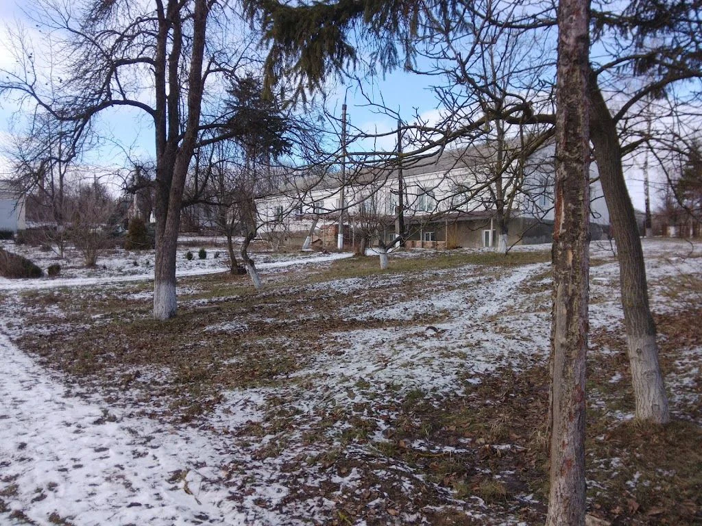 Ветеринарна лікарня — фото 5