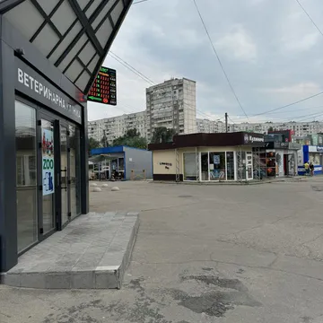 Фото бізнесу Ветеринарна клініка