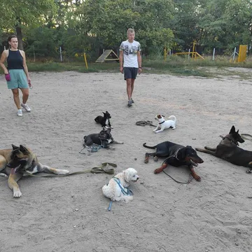 Фото бізнесу Дресирування собак. Школа службового собаківництва(МГБ)