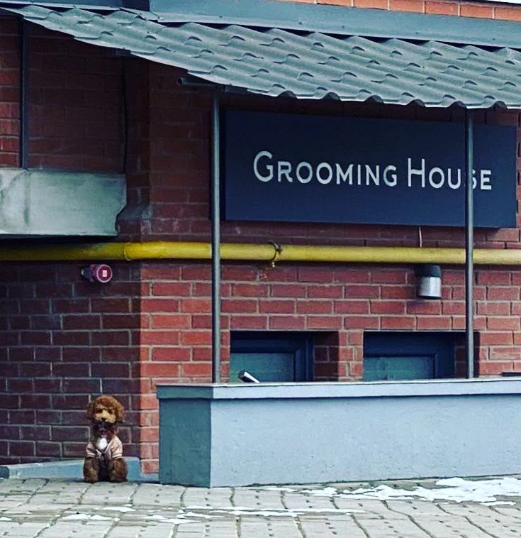 Грумінг салон "Grooming House" — фото 4
