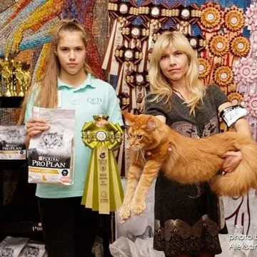 Фото бізнесу Розплідник Мейн-кунів “Arinecoons”