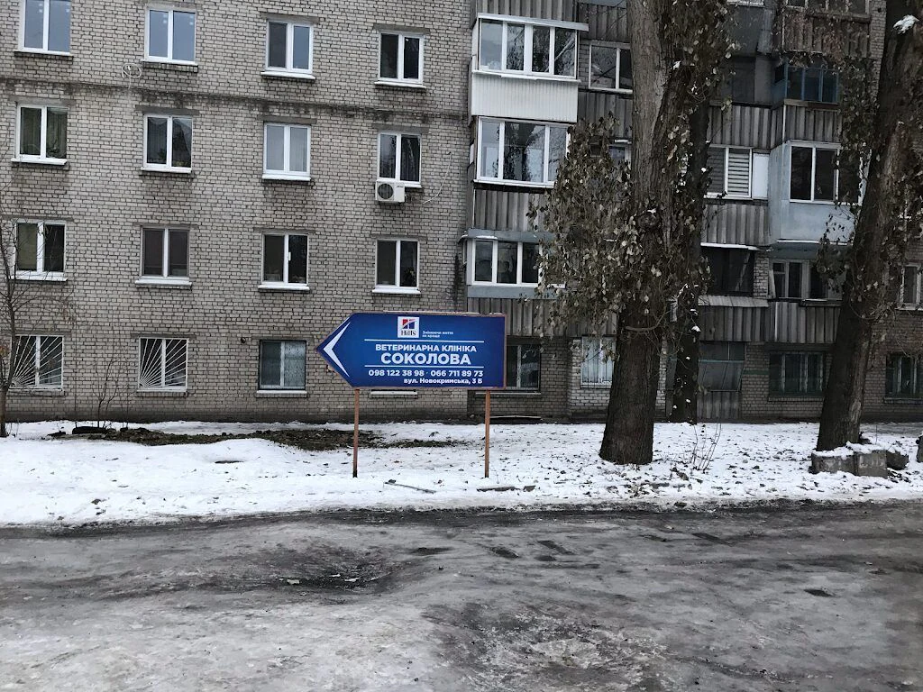 Ветеринарна амбулаторія «Соколова» — фото 4