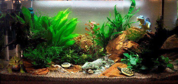 Акваріуми та акваріумні рибки "World Aquarium" — фото 2