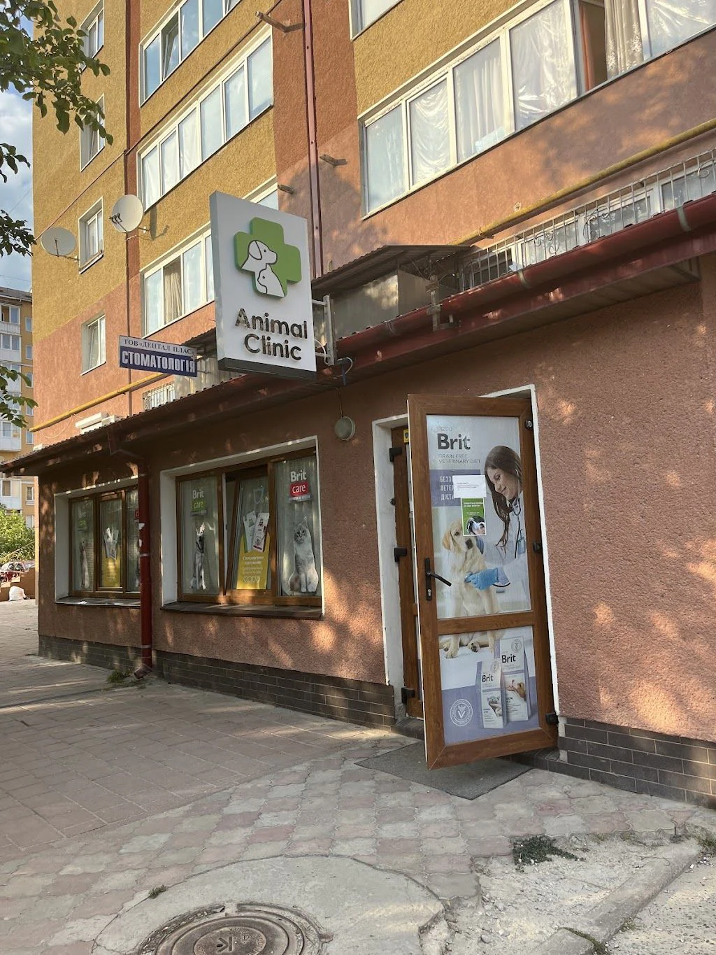 Ветеринарна клініка "Animal Clinic" — фото 4