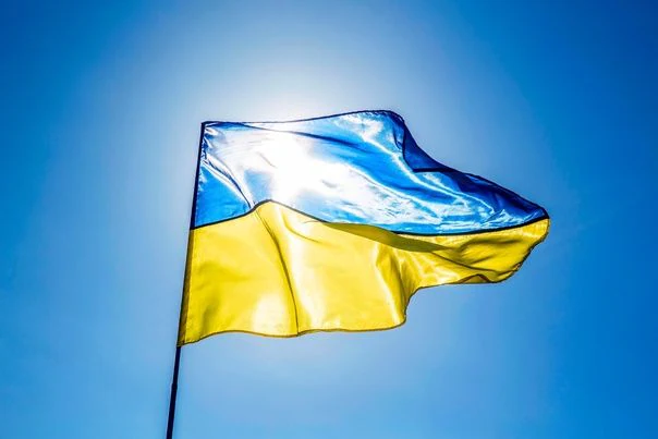 Ветеринарна клініка "ВетЛідер" — фото 3