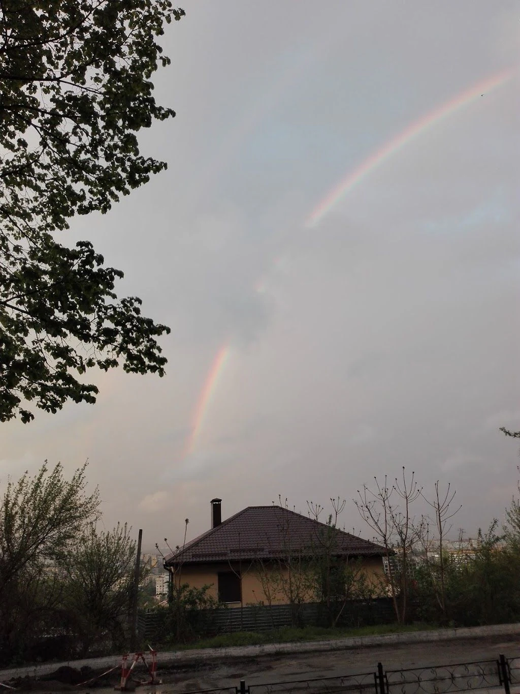 Ветеринарна Клініка На Соколі — фото 4