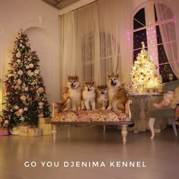 Фото бізнесу Розплідник "Go You Djenima"